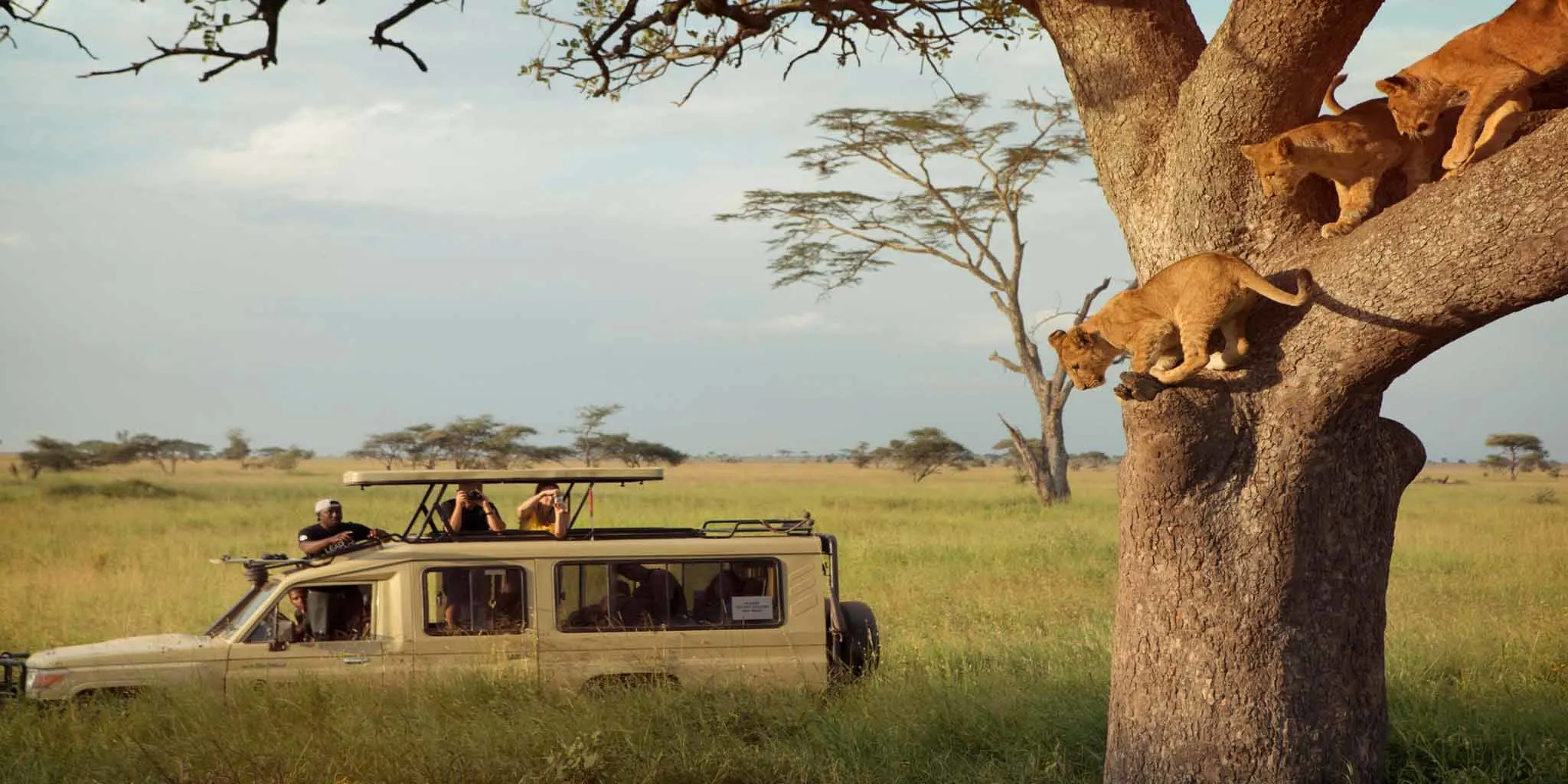 10 Day Asilia Tanzania Luxury Safari.